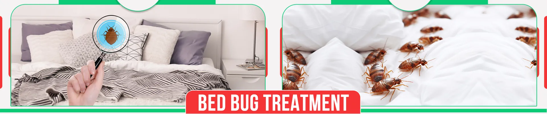 carpet cleaners in Brooklyn, carpet cleaning in Brooklyn, carpet cleaning bkln, carpet cleaners in brooklyn,  commercial carpet cleaning, commercial carpet cleaning in brooklyn,carpet cleaning in brooklyn,  brooklyn rug cleaners, rug cleaning services in brooklyn, same day carpet cleaning, same day rug cleaning