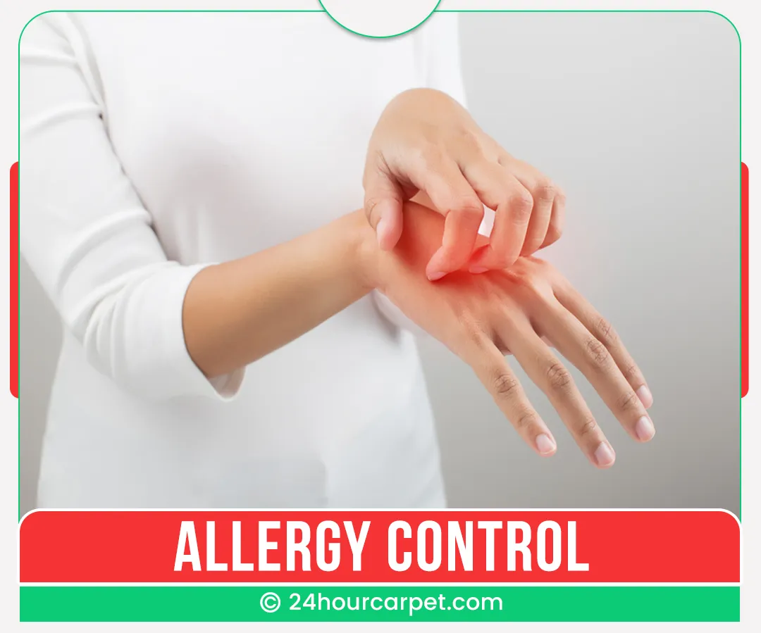 carpet cleaners in Brooklyn, carpet cleaning in Brooklyn, carpet cleaning bkln, carpet cleaners in brooklyn,  commercial carpet cleaning, commercial carpet cleaning in brooklyn,carpet cleaning in brooklyn,  brooklyn rug cleaners, rug cleaning services in brooklyn, same day carpet cleaning, same day rug cleaning