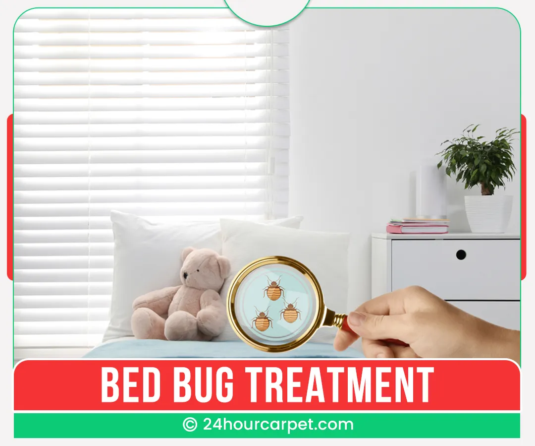 carpet cleaners in Brooklyn, carpet cleaning in Brooklyn, carpet cleaning bkln, carpet cleaners in brooklyn,  commercial carpet cleaning, commercial carpet cleaning in brooklyn,carpet cleaning in brooklyn,  brooklyn rug cleaners, rug cleaning services in brooklyn, same day carpet cleaning, same day rug cleaning